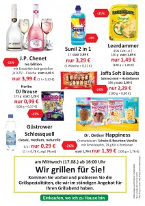 Werbung Wochen 32+33 20162