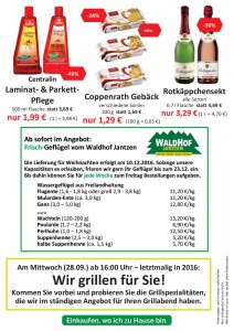 Werbung Wochen 38+39 20162