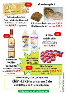 Werbung Wochen 36+37 20172